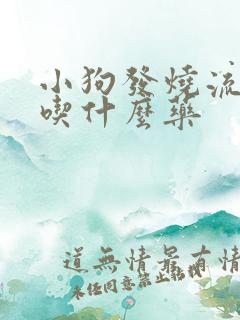 小狗发烧流鼻涕吃什么药