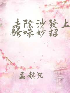 去除沙发上猫尿骚味妙招