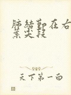 肺结节在右肺上叶尖段