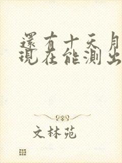 还有十天月经期现在能测出怀孕吗