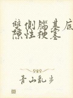 双侧脑基底节腔隙性梗塞