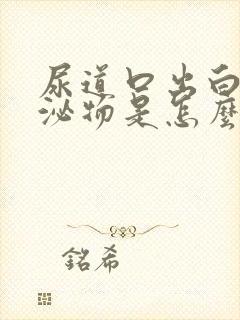 尿道口出白色分泌物是怎么回事