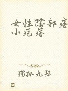 女性阴部瘙痒长小疙瘩