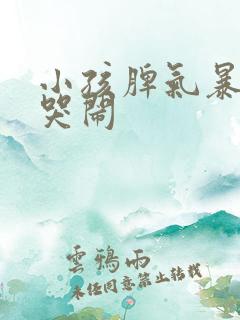 小孩脾气暴躁爱哭闹