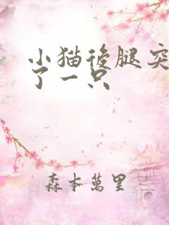 小猫后腿突然瘸了一只