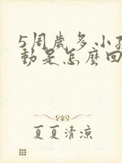 5周岁多小孩好动是怎么回事