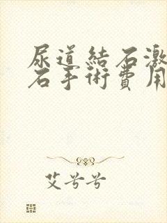 尿道结石激光碎石手术费用