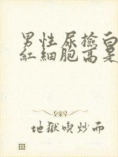 男性尿检白细胞红细胞高是怎么回事