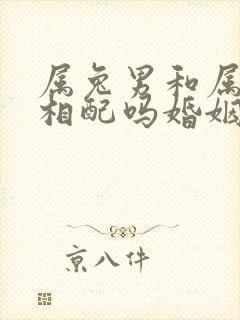 属兔男和属龙女相配吗婚姻怎么样