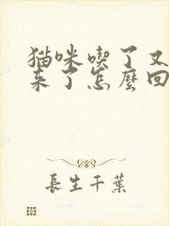 猫咪吃了又吐出来了怎么回事?