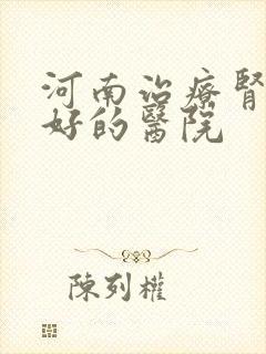 河南治疗肾病最好的医院