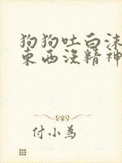 狗狗吐白沫不吃东西没精神吃什么药