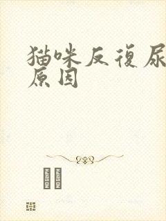 猫咪反复尿闭的原因