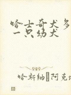 哈士奇犬多少钱一只幼犬