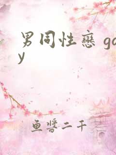 男同性恋 gay