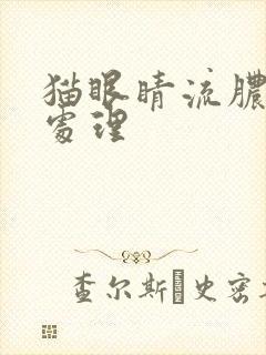 猫眼睛流脓怎么处理