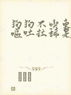 狗狗不吃东西还呕吐拉稀是怎么回事