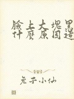 脸上大块黑斑是什么原因造成的