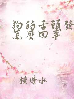 狗的舌头发紫是怎么回事