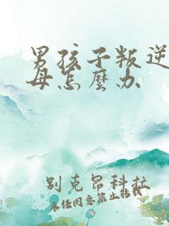 男孩子叛逆打父母怎么办