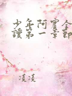 少年阿宾全文阅读第一章节房东太太