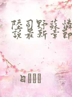 陆司野苏怜月小说最新章节更新内容