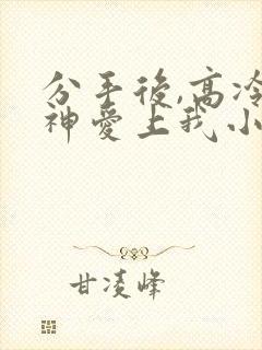 分手后,高冷女神爱上我小说最新章节