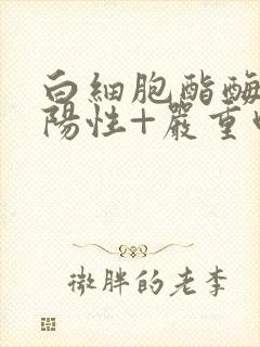 白细胞酯酶le阳性+严重吗