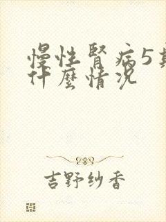 慢性肾病5期是什么情况