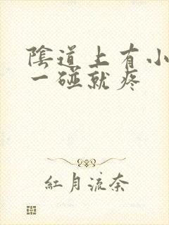 阴道上有小水泡一碰就疼