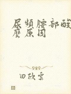 尿频腰部酸痛什么原因