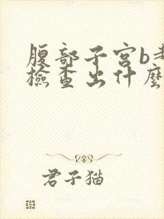 腹部子宫b超能检查出什么