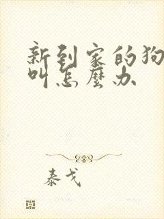 新到家的狗一直叫怎么办