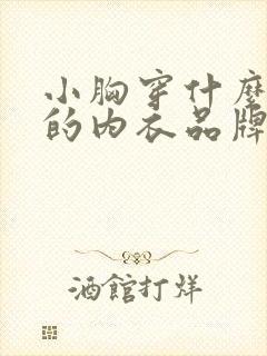 小胸穿什么牌子的内衣品牌