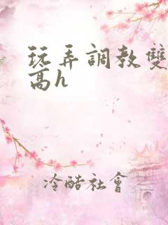 玩弄调教双胞胎高h