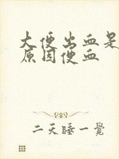 大便出血是什么原因便血