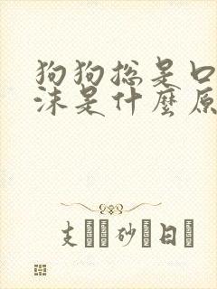 狗狗总是口吐白沫是什么原因