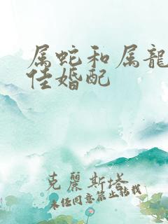 属蛇和属龙的最佳婚配