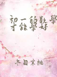 初一的数学怎么才能学好
