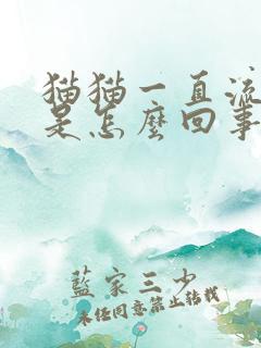 猫猫一直流口水是怎么回事