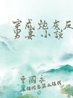 穿成炮灰反派的男妻 小说