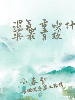 湿气重吃什么中药最有效