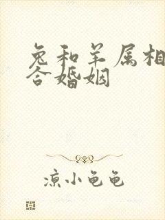 兔和羊属相合不合婚姻