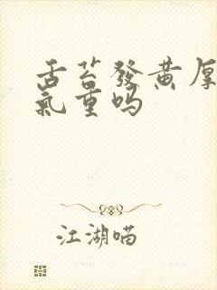 舌苔发黄厚是湿气重吗