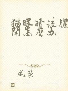 猫眼睛流脓睁不开怎么办