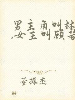 男主角叫林凡的,女主叫顾若曦的小说