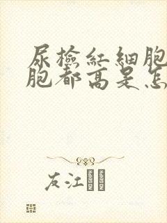 尿检红细胞白细胞都高是怎么回事