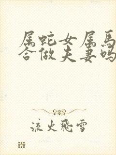 属蛇女属马男适合做夫妻吗