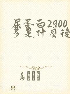 尿蛋白2900多是什么后果