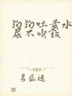 狗狗吐黄水尿黄尿不吃饭